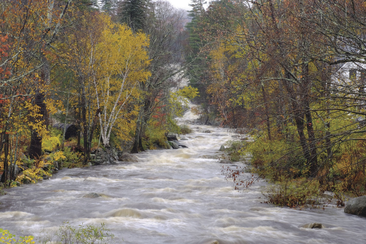 When it rains it pours: Dry spell ends with deluge